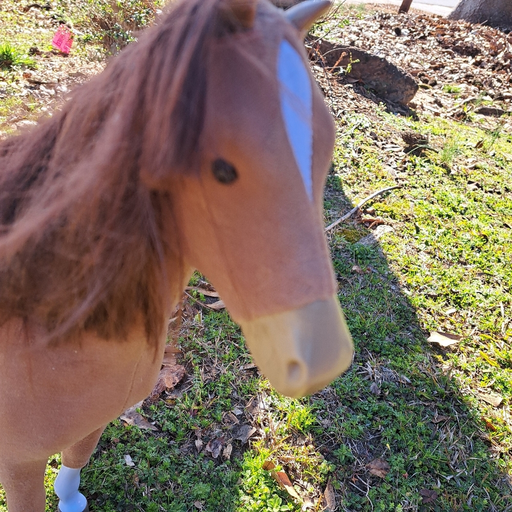 American Girl Horse - Picture 4 of 9